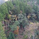 【成約済】山いちば 山林物件情報 No.002　京都府南丹市美山町深見