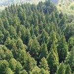 【成約済】山いちば 山林物件情報 No.023　京都府綾部市睦合町・佃町