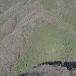 【成約済】山林物件情報 No.029　奈良県桜井市辻