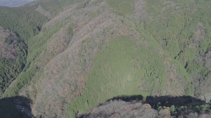 【成約済】山林物件情報 No.029　奈良県桜井市辻