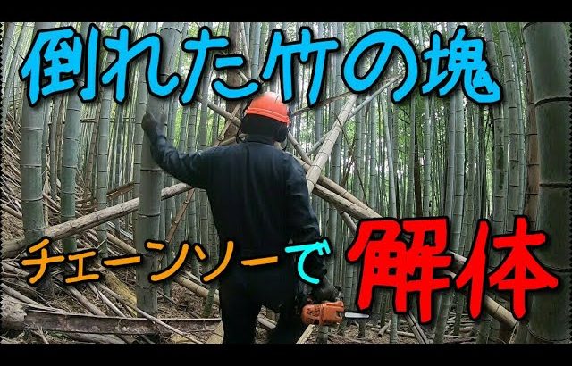 【開拓系】倒れて絡まった竹をチェーンソーで解体する【竹林系】