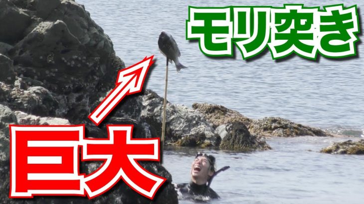 無人島でモリで突いた魚でサバイバル海鮮鍋をつくって食う！【無人島サバイバル生活#6】