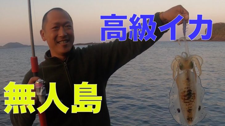 【無人島サバイバル #7】高級イカ爆釣＆捌き！無人島で海鮮ブイヤベースを作れ！【前篇】