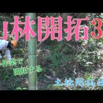 【庭づくり】山林開拓　鬱蒼とした山林を手作業で開拓する　土地開拓日記32