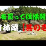 山を買って伐採開墾する・竹林編【其の壱】 竹林伐採開始