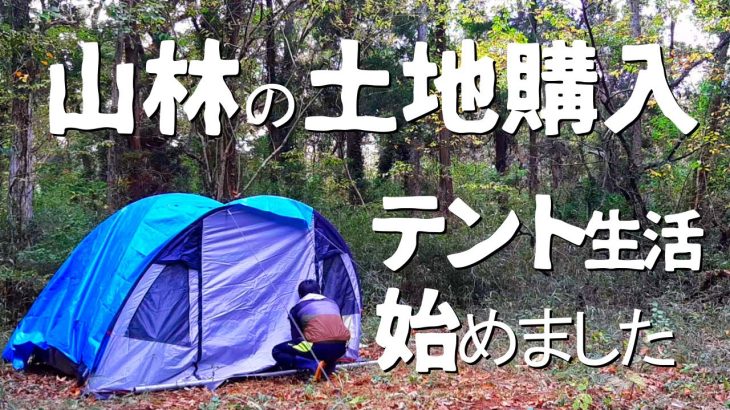 【ガチソロキャンプ】山林にある土地を購入&テント生活始めました！