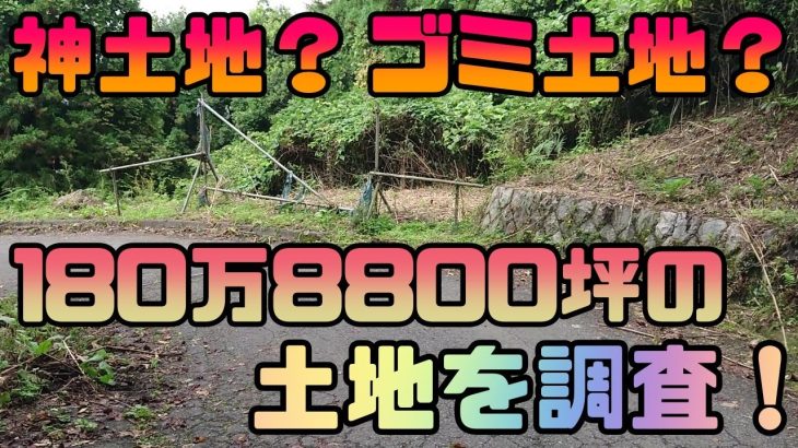 【山購入#01】茨城にある180万円で8800坪もある山林物件を調査！自給自足は可能？【別荘探し】