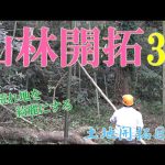 【移住生活】山林開拓　ジャングルのような場所を少しずつ開拓していく　土地開拓日記39