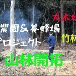【山林開拓】#5　大木を切り倒す＆竹林伐採