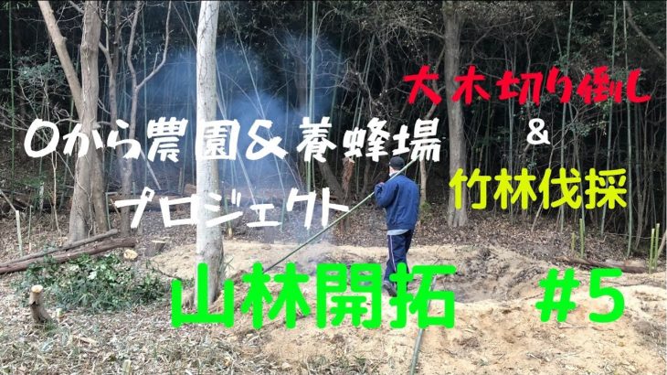 【山林開拓】#5　大木を切り倒す＆竹林伐採