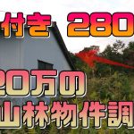 【山購入】#03茨城県の小屋付き2800坪で220万の山林を調査！山生活は可能？【別荘探し】