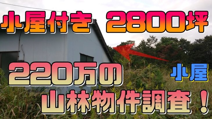 【山購入】#03茨城県の小屋付き2800坪で220万の山林を調査！山生活は可能？【別荘探し】