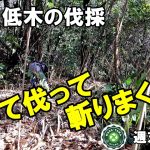 ≪週末山開拓≫#02 山林の整地②／低木の伐採／近所のおじさんと仲良くなりました