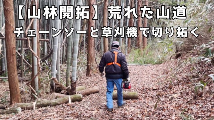 【山林開拓】#2  竹や木、雑草だらけで荒れた古い山道を切り拓く