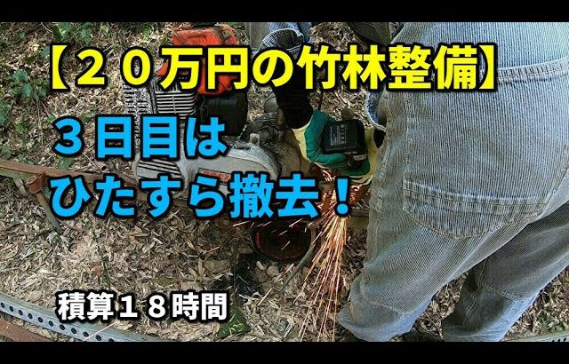 【２０万円の竹林開拓】撤去からの枯竹除去　３日目