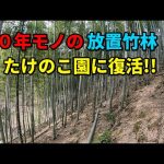 ２年で放置竹林が復活！後１年管理すれば成園に
