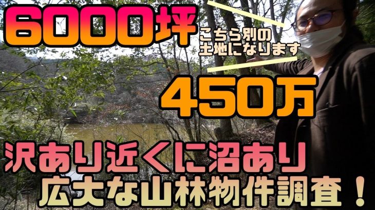 【山購入#14】都心から近い！サバゲ―や山遊びに最適！栃木県佐野市の6000坪の広大な敷地の450万円の山林物件！【別荘探し】