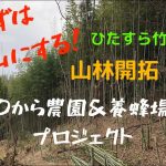 【山林開拓】#9　まずはハゲ山に！　ひたすら竹林伐採