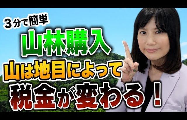 山は地目によって税金が変わる！急増中のYoutuberの山林購入時の税金について