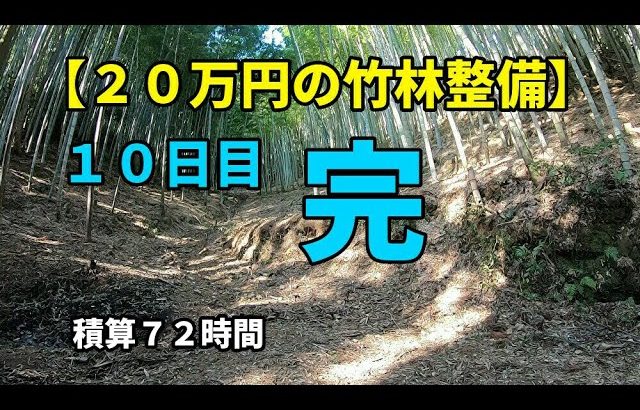 【２０万円の竹林整備】１０日目でやっと一区切り