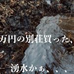 【41.5日目】水捌けが悪い庭と思ったら湧水だった、、、再考察、、、
