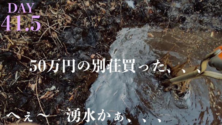 【41.5日目】水捌けが悪い庭と思ったら湧水だった、、、再考察、、、
