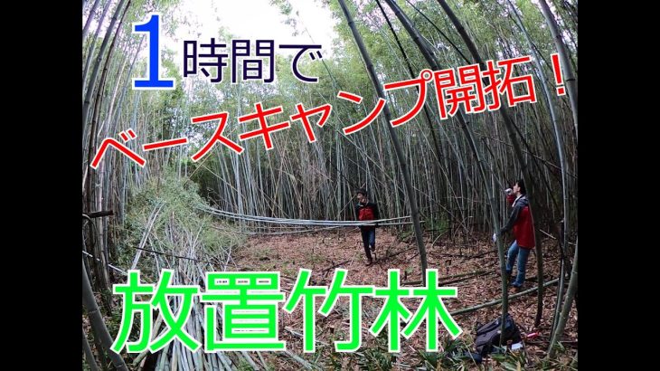 【放置竹林】林業初心者のベースキャンプ開拓編#1