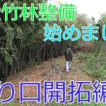【放置竹林】林業初心者が竹林整備始めました 入り口開拓編#2