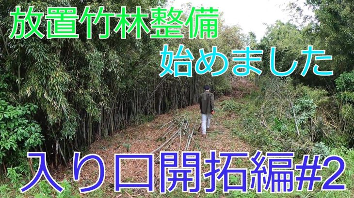 【放置竹林】林業初心者が竹林整備始めました 入り口開拓編#2