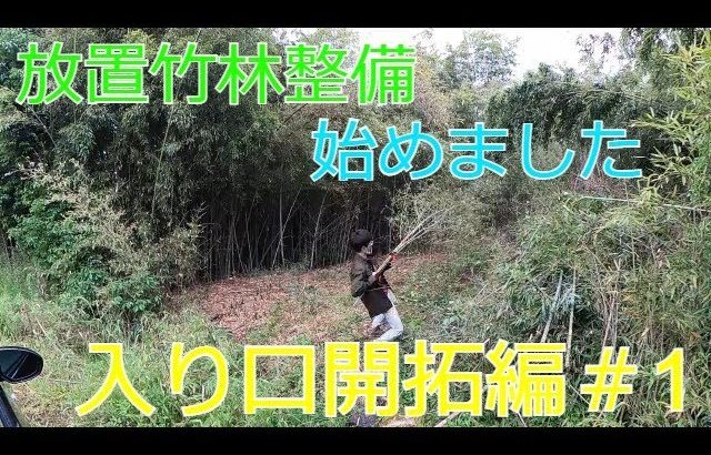 【放置竹林】自由に使っていい竹林手に入れたので開拓してみた~入口開拓編~