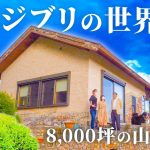 【田舎暮らし】土地の価格は400万円！8000坪の山を開拓して造ったジブリのような自由気ままな暮らし vol.146