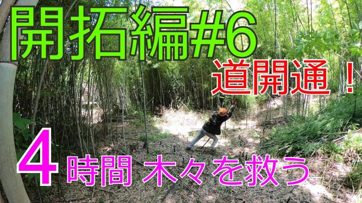 【放置竹林】入口開拓編#6 侵略竹の竹林整備