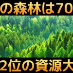 【70兆円】日本に眠る「森林資源」を徹底解説！【世界2位】