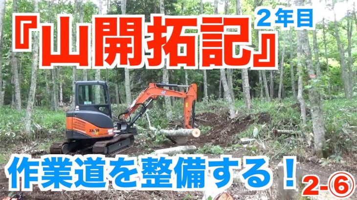【山開拓記２年目⑥】作業道を整備する！伐採、抜根、整地