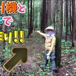 山林開拓日記｜草刈り機とアメリカンレーキで道造り＆篠竹と杉の木で入り口の階段造り