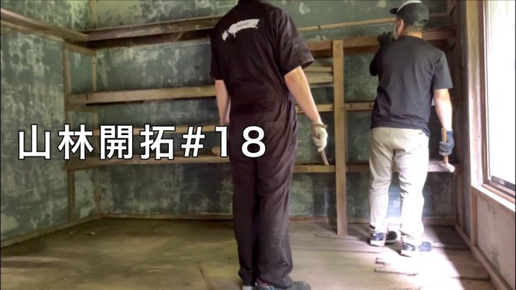 【山林開拓】#18  物置小屋の棚を解体して改築作業の下準備