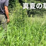 【山林管理】夏の山林管理メイン作業は草刈り/ １日ひたすら草刈り