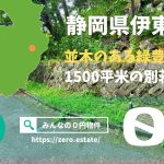 【みんなの０円物件】静岡県伊東市｜並木のある緑豊かな自然の宝庫、１５００㎡の未利用別荘地