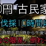 ★0円古民家#3     庭木伐採10時間以上 体力の限界 倒れそう / 古民家 輪禅　#古民家　#0円物件　#古民家暮らし　#古民家リノベーション