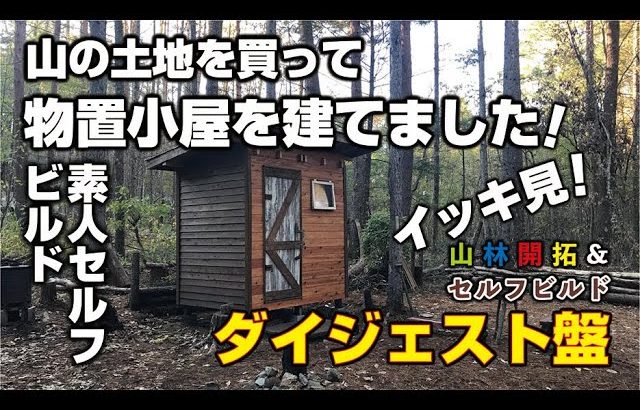 【山林開拓】購入した山林に物置小屋を立てました！