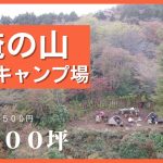 【売物件】伊豆に1900坪のプライベートキャンプ場が登場！