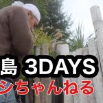 無人島３DAYS　〜＃1  極寒からの逃避〜