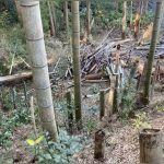 竹林を整備したら、こんなにキレイになりました！空き家、農地、山林もこうしたら、売却・賃貸しやすい！