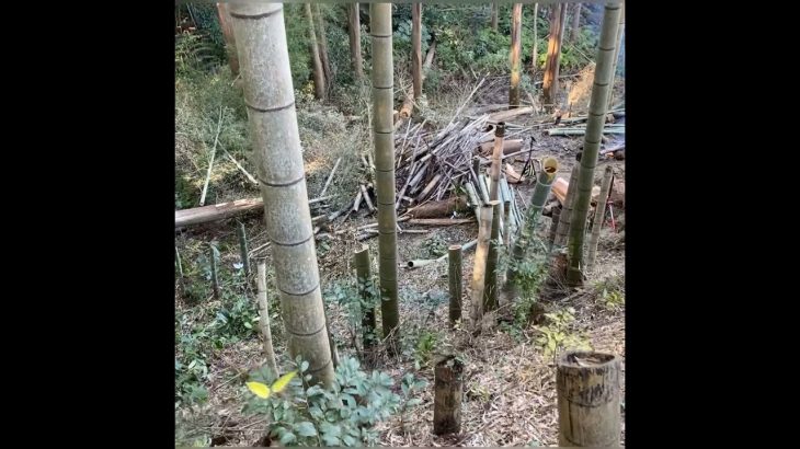 竹林を整備したら、こんなにキレイになりました！空き家、農地、山林もこうしたら、売却・賃貸しやすい！