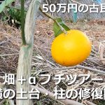 #50 山林・畑＋αのプチツアー／温故知新　50万円の古民家DIY