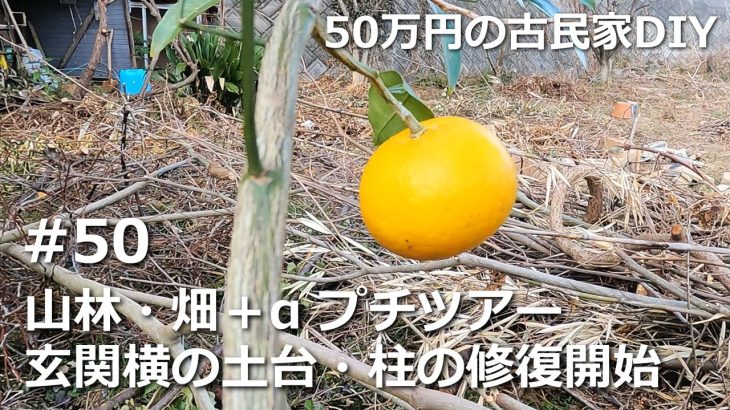 #50 山林・畑＋αのプチツアー／温故知新　50万円の古民家DIY