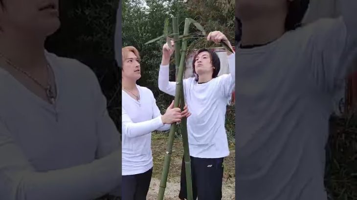 【生きる知恵】無人島で生き延びろ!竹で家の作り方を教えます‼#shorts