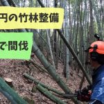【２０万円の竹林整備】とことん切りまくり！　２