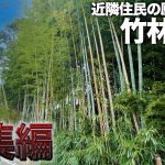 【総集編】何年も畑に日が当たらない…放置された竹林のビフォーアフター