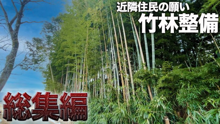 【総集編】何年も畑に日が当たらない…放置された竹林のビフォーアフター
